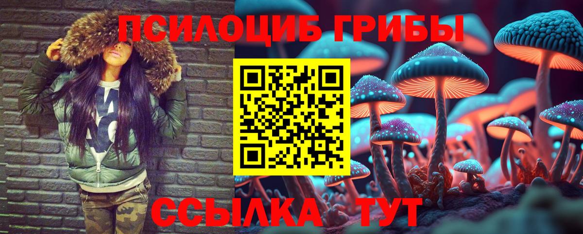 Псилоцибиновые грибы мицелий Ливны