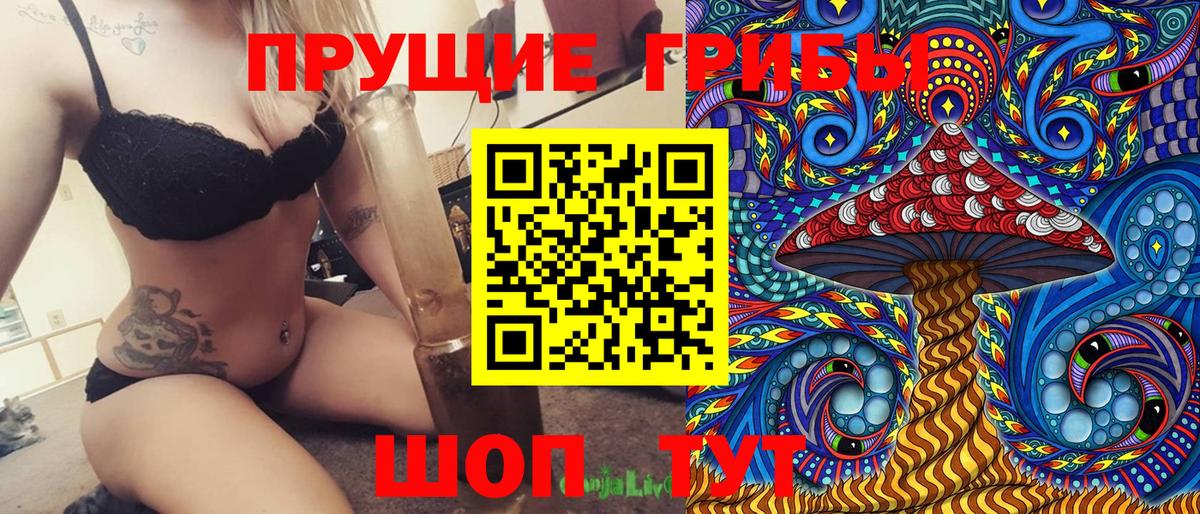 Ливны  Галлюциногенные грибы Psilocybe  Вход с VPN 